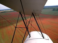 Red field as seen from Stampe biplane