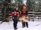 [Posing with a reindeer, December 1997]