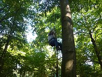 Climbing a rope up a tree