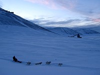 Me returning on dog sled from Bolterdalen