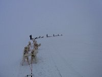 Dog sledge in windy conditions