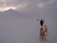 Bolterdalen dog sledding