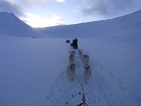 Bolterdalen dog sledding