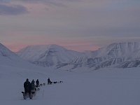 Returning on dog sled from Bolterdalen