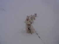 Sitting out the snow storm