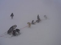 Sitting out the snow storm