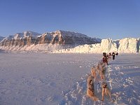 Sledge dogs Tunabreen glacier