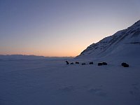 Tempelfjorden evening