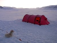 Tempelfjorden dawn