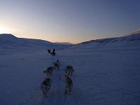 Janssondalen dog sledding