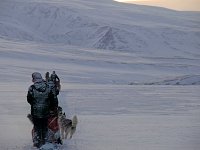 Janssondalen dog sled rest