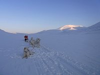 Janssondalen dog sled rest