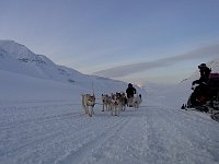 Gangdalen dog sledding