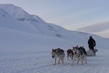 Gangdalen dog sledding