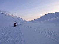 Gangdalen dog sledding