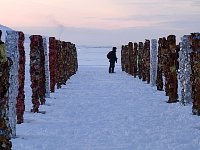 Art in progress, Svalbard