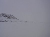 Dog sled on an overcast day, Svalbard