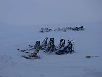 Sleds and snow mobiles in snow