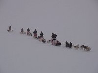 Dog sleds seen from the Noorderlicht