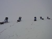 Dog sleds parallel parking