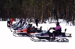 Snowmobile safari