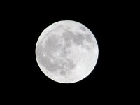 Full moon over Ekorrsele