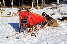 Wooden dog sled