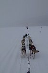 Bleak white trail on a snowy day