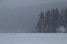 Bleak white trail on a snowy day