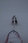 Bleak white trail on a snowy day