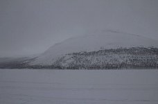 Dogsledding at Stor-tjultraesket