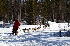 Helping with a ski pole