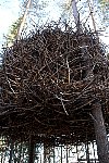 Bird's Nest treehouse