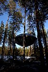 The UFO tree hotel