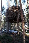 Bird's Nest treehouse