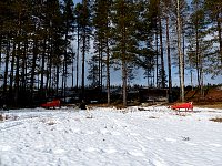 Dogsledding rest stop