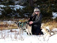 Dogsledding rest stop