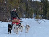 Leaving the forest on dog sled