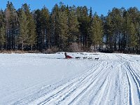 Dogsledding on the Vindel River