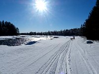 Dogsledding on the Vindel River