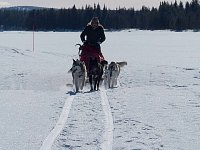 Dogsledding on the Vindel River