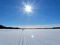 Dogsledding on the Vindel River