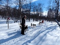 Enjoying a break with the dogs