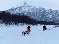 Dogsledding at Stor-tjultraesket