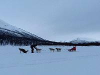 Dogsledding at Stor-tjultraesket