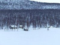 Dogsledding at Stor-tjultraesket