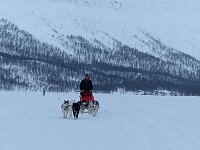 Dogsledding at Stor-tjultraesket