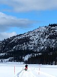 Scenery and dog sled