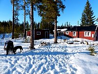 Bed and breakfast place with dogs