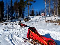 Turning the sled